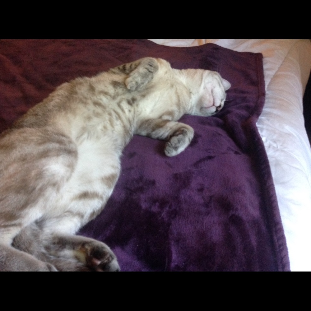 Meet your Posher, Mariam